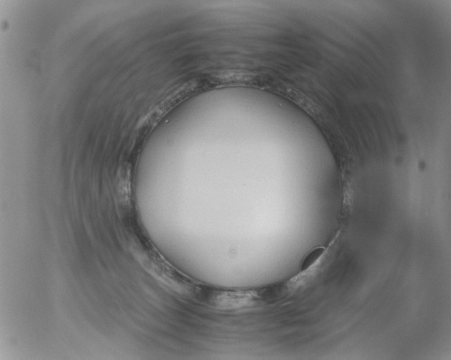 X0000053090179200508012042