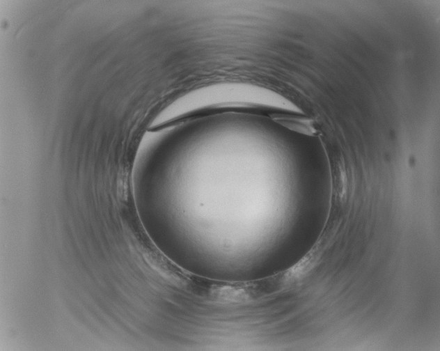 X0000053090180200508012042