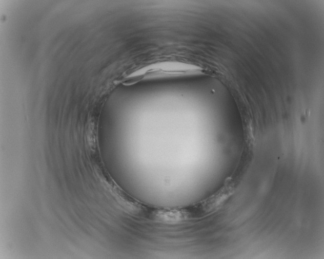 X0000053090181200508012042