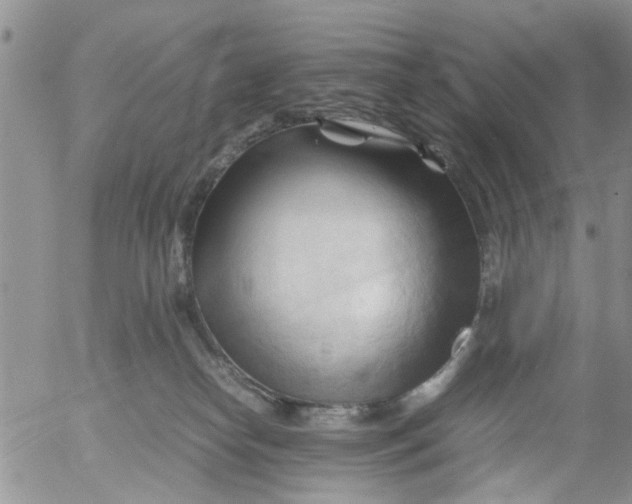 X0000053090182200508012042