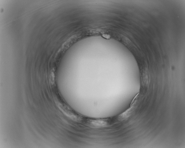 X0000053090183200508012042