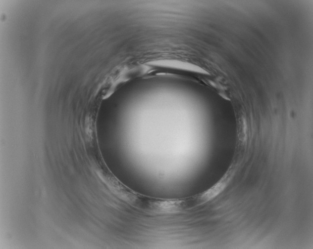 X0000053090184200508012042