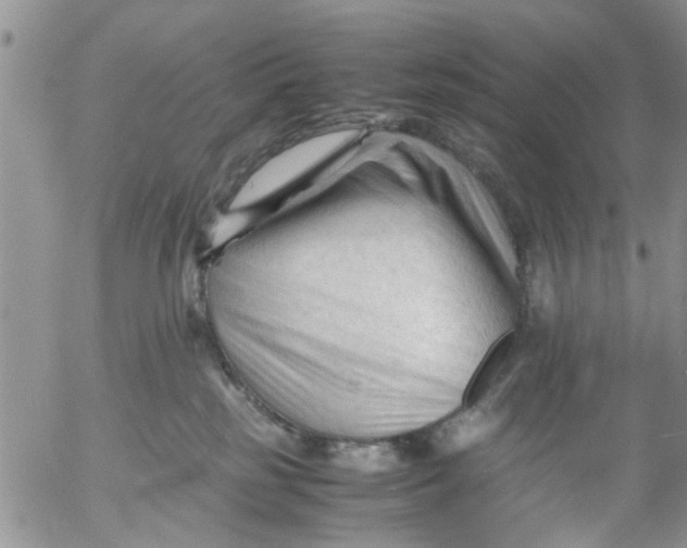 X0000053090185200508012042