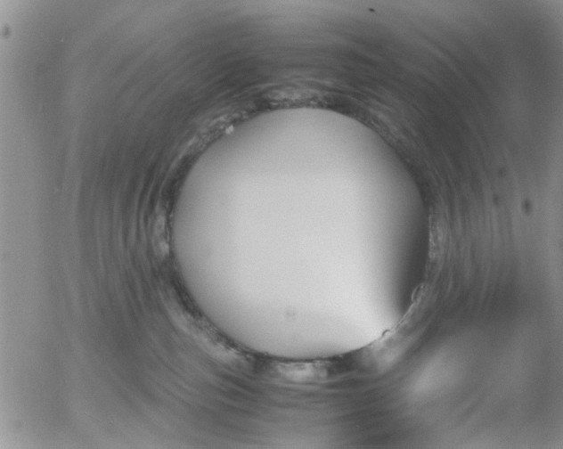 X0000053090187200508012042