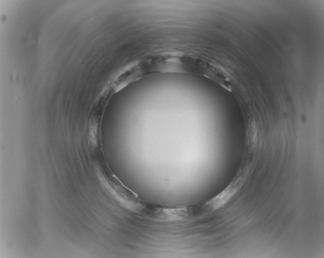 X0000053090188200508012042