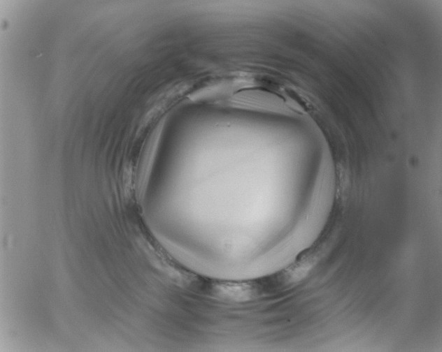 X0000053090189200508012042