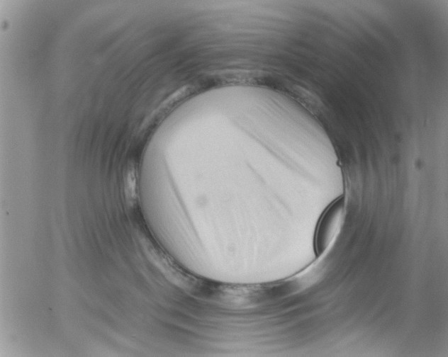 X0000053090190200508012042