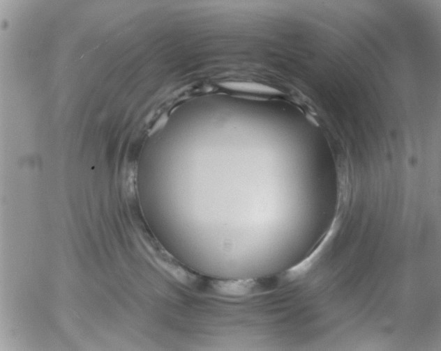 X0000053090191200508012042