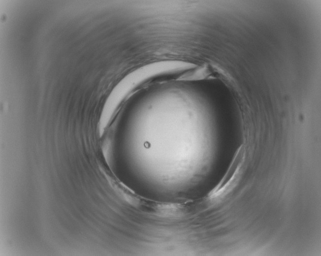 X0000053090192200508012042