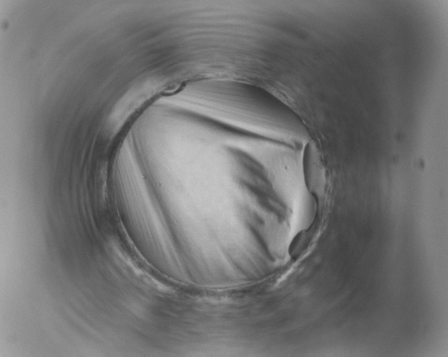 X0000053090194200508012041