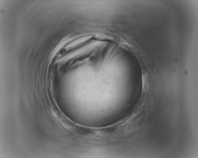 X0000053090195200508012041