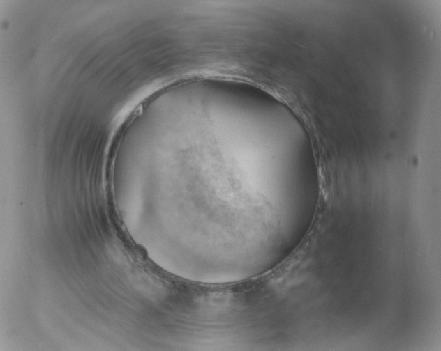 X0000053090196200508012041