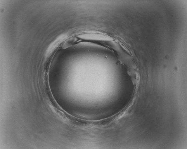 X0000053090197200508012041