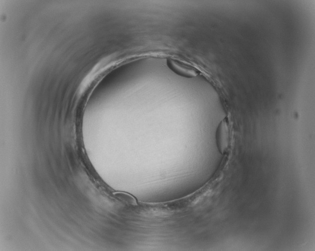 X0000053090198200508012041