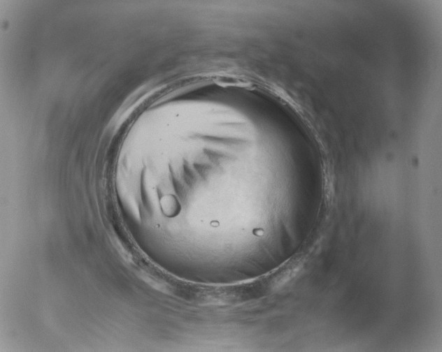 X0000053090199200508012041