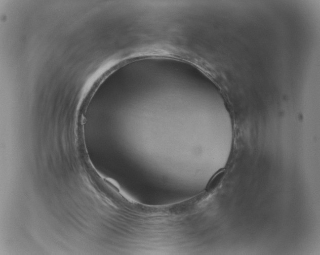 X0000053090200200508012041