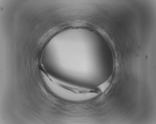 X0000053090201200508012041