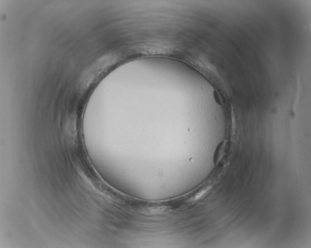 X0000053090202200508012041