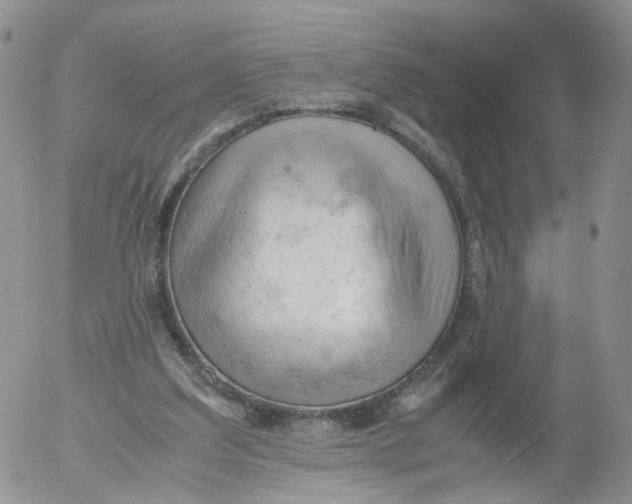 X0000053090203200508012041