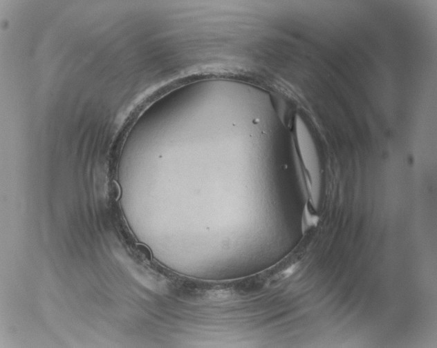 X0000053090204200508012041