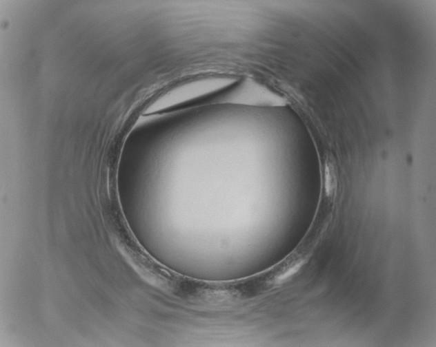 X0000053090205200508012041