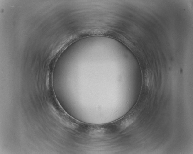 X0000053090206200508012041