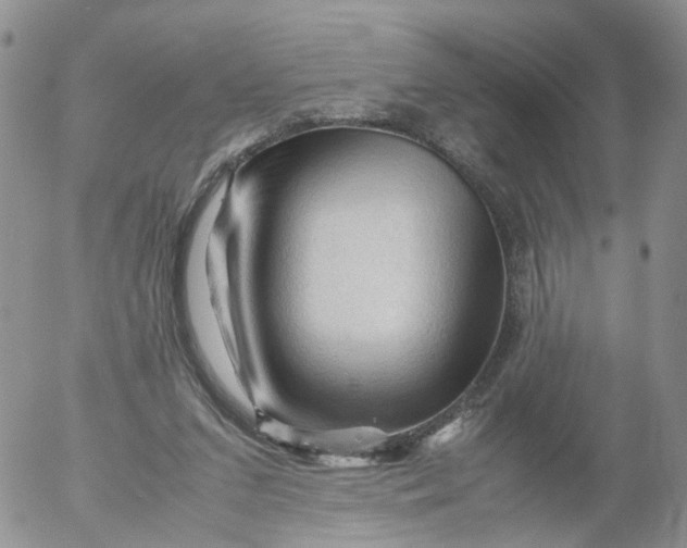 X0000053090207200508012041