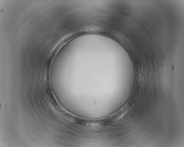 X0000053090208200508012041