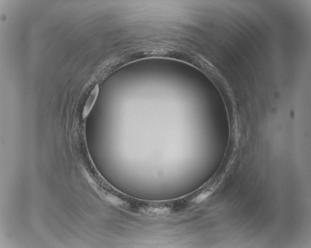 X0000053090209200508012041