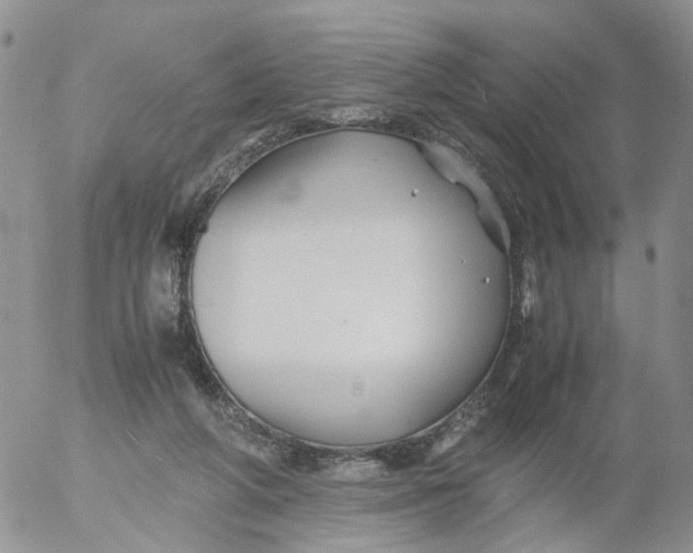 X0000053090210200508012041