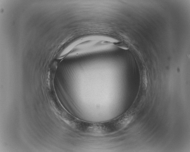 X0000053090211200508012041