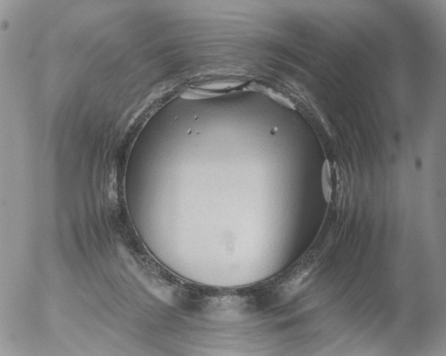 X0000053090212200508012041