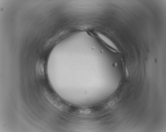 X0000053090214200508012041