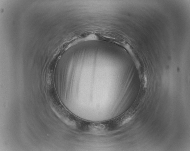 X0000053090215200508012041