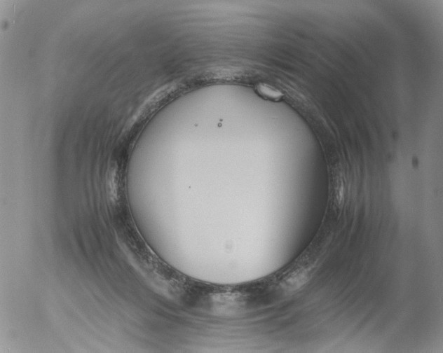 X0000053090216200508012041