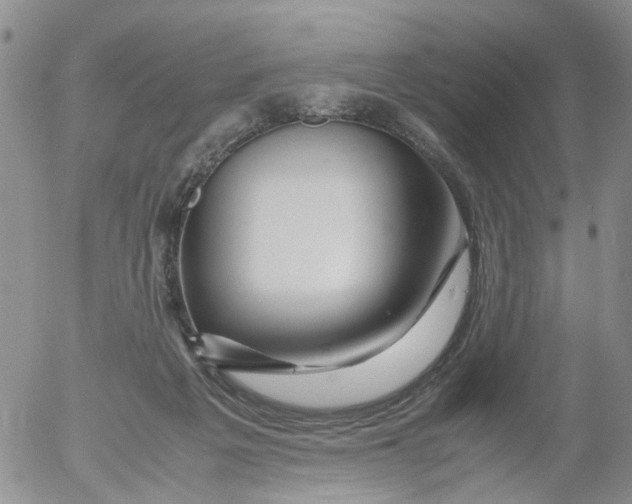 X0000053090217200508012041