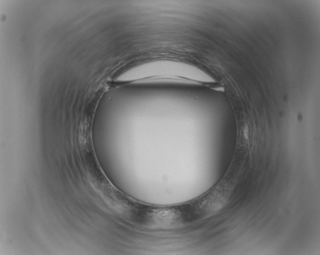 X0000053090218200508012041