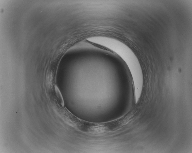 X0000053090219200508012041