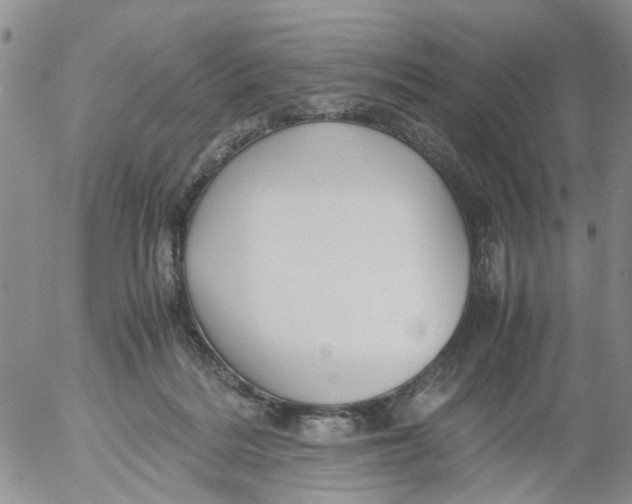 X0000053090220200508012041