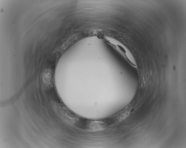 X0000053090222200508012041