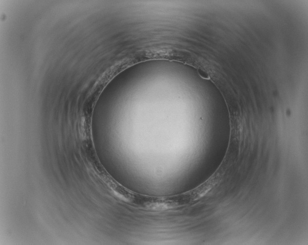 X0000053090224200508012041