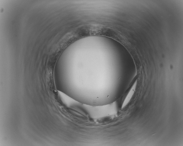 X0000053090225200508012041