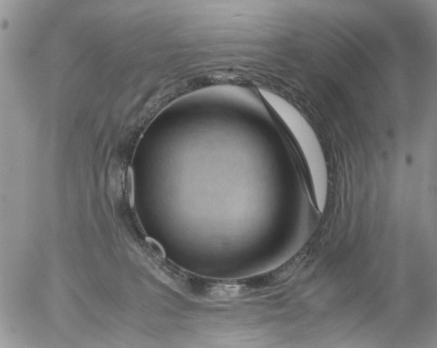 X0000053090227200508012041