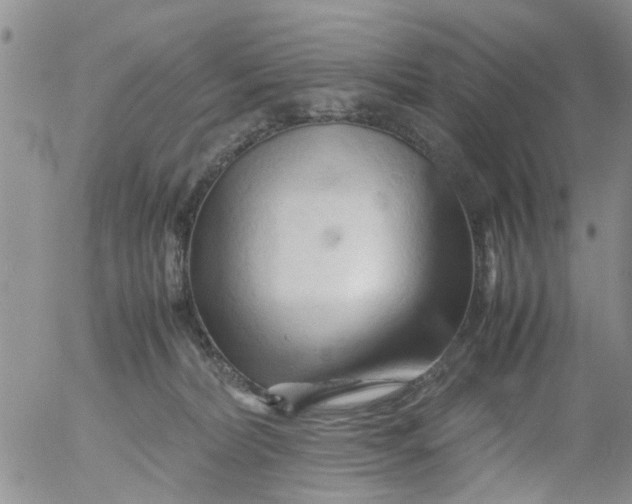 X0000053090228200508012041