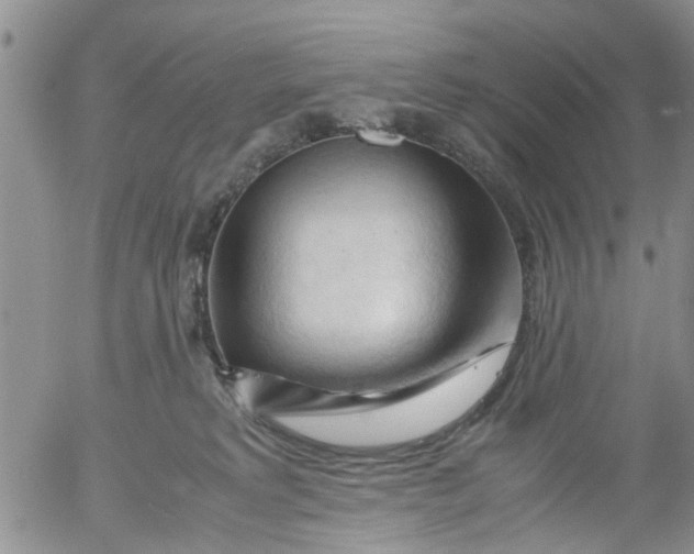 X0000053090229200508012041