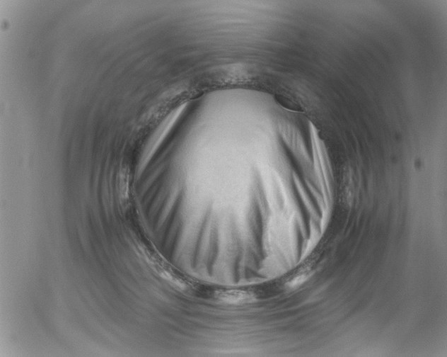 X0000053090230200508012041