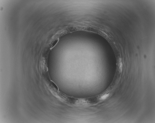 X0000053090231200508012041