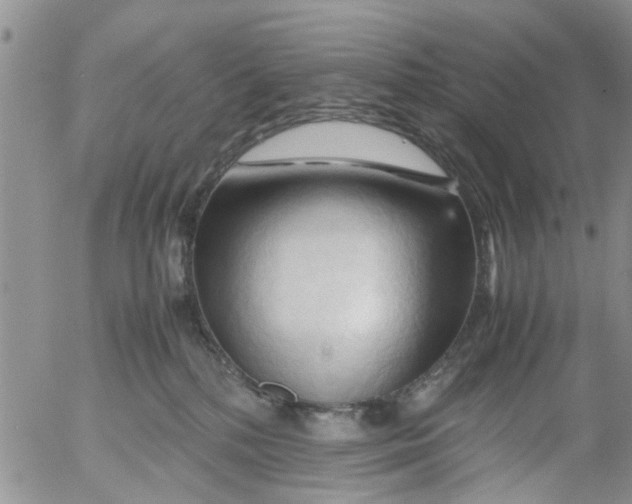 X0000053090232200508012041