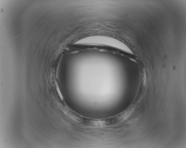 X0000053090233200508012041