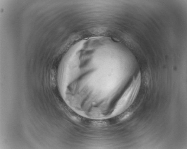 X0000053090234200508012041